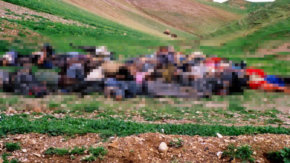 Halepçe Katliamı'nın 29. yılı