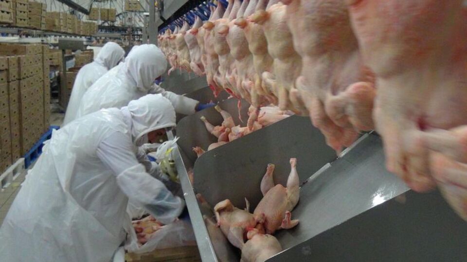 Beyaz et sektöründe flaş satın alma!