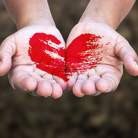 Dünyanın en sağlıklı kalbi bakın hangi ülkede...