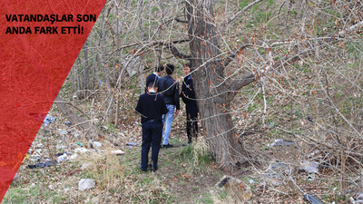 Ankara'da 4 ay sonra yine aynı ağaç, aynı olay!