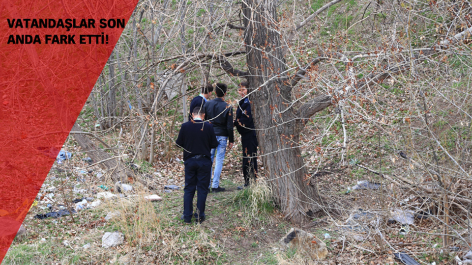 Ankara'da 4 ay sonra yine aynı ağaç, aynı olay!