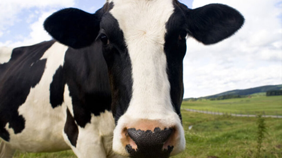 Kurban Bayramı ne zaman?