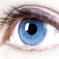 Gözle göremediğiniz tozlar sizi kör edebilir!