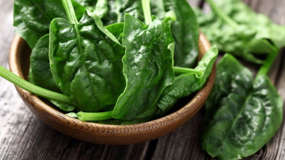 Bilim insanlarından çığır açacak buluş! Bitkiden organ ürettiler!