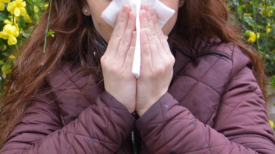 Alerjinizin sebebi meğer polen değil sahra tozlarıymış...