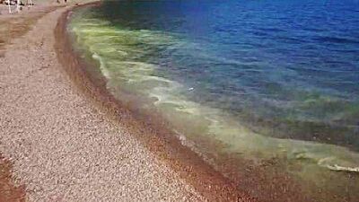 Marmaris'te korkutan görüntü