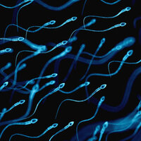 Cep telefonundan sperm testi!