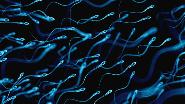 Cep telefonundan sperm testi!