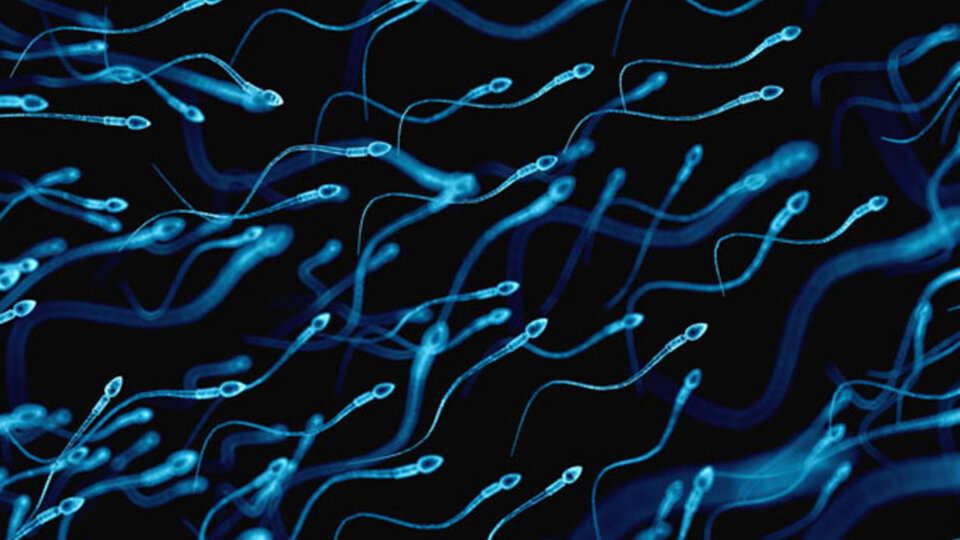 Cep telefonundan sperm testi!