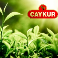 Bin 500 geçici işçi müjdesi!