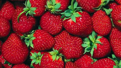 Çilek hasadı başladı!