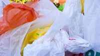 Plastik poşetlerle ilgili önemli açıklama