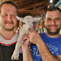 Mimarlığı bıraktı keçi çobanı oldu