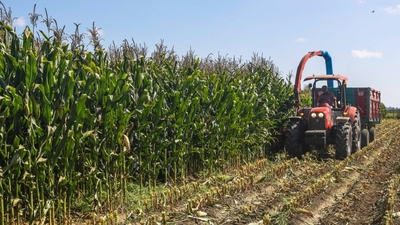 Anadolu devine yabancı ortak geldi