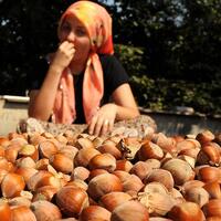 Sekiz yılda 6 milyar lira destek