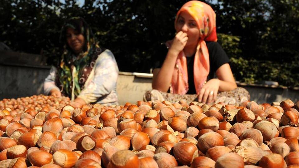 Sekiz yılda 6 milyar lira destek