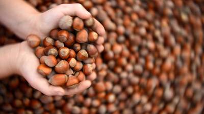 Türk devi artık resmen İtalyan devi