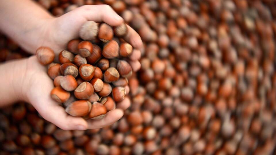 Türk devi artık resmen İtalyan devi