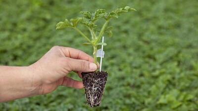 Rusya almadı ama bakın kimler alıyor