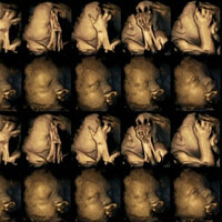 Bu görüntüler şok etti! Anne rahmindeki bebekler sigaraya böyle tepki verdi!