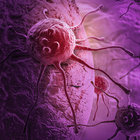 Çağın vebası o hastalığa karşı 'oruç tutun' uyarısı!