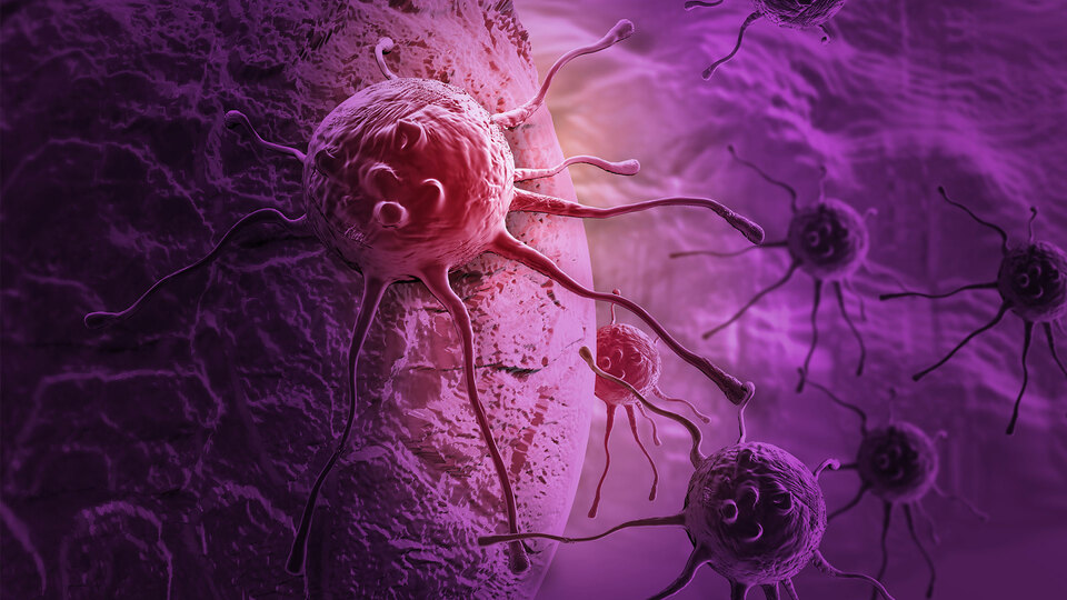 Çağın vebası o hastalığa karşı 'oruç tutun' uyarısı!