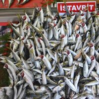 Balık yedikten sonra kakaolu süt içen genç hayatını kaybetti!