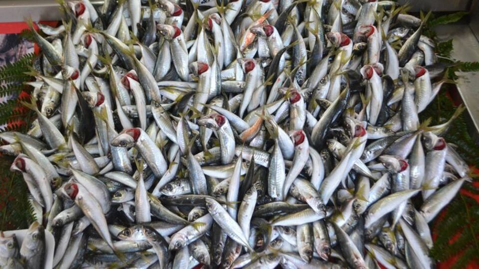 Balık yedikten sonra kakaolu süt içen genç hayatını kaybetti!