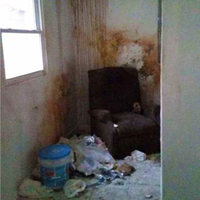 Bahçede buldu, dehşete düştü!