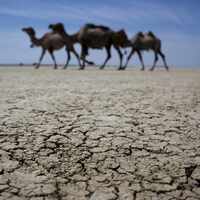 Konya büyüklüğündeki göl yok oldu