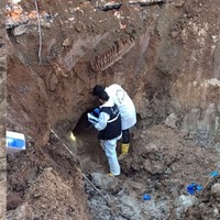 İşte teröristlerin Diyarbakır'da açtığı tünel! 177 kişi gözaltında