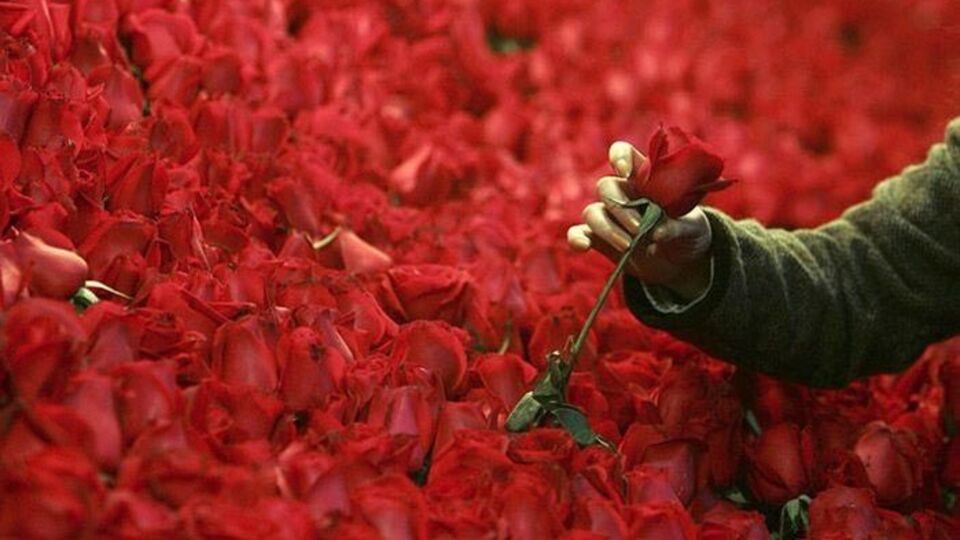 Kutlu Doğum Haftası ne zaman?