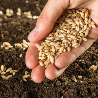 Türkiye rekora imza attı