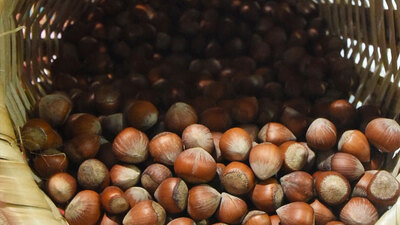 Bakanlıktan önemli hamle