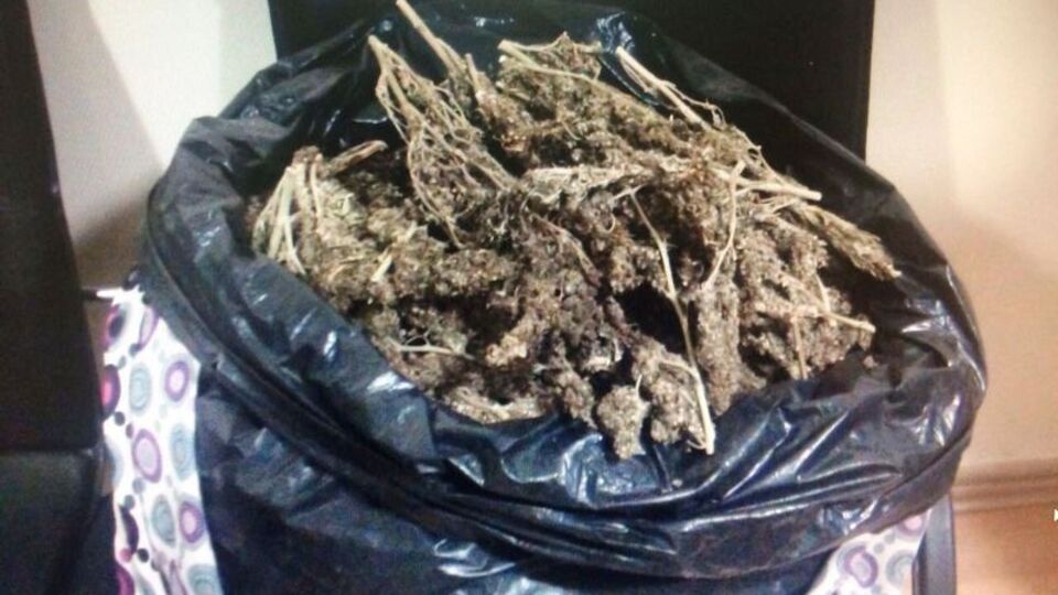 Kahramanmaraş'ta hırsızlık ve uyuşturucu operasyonu