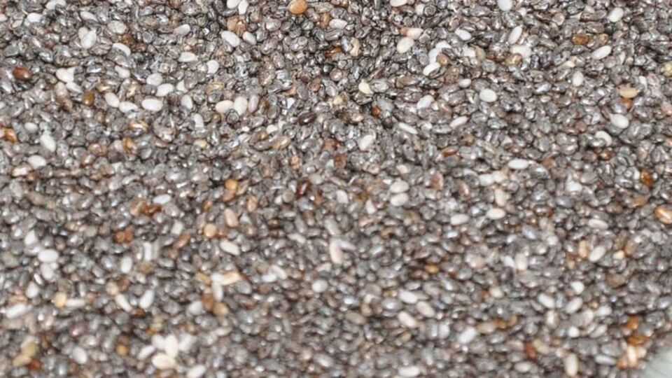 Beslenmede yeni trend Chia!