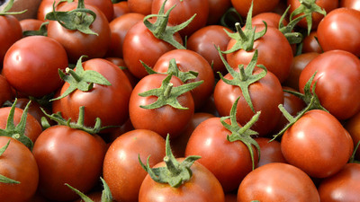 İsrail'den Türkiye'den ithal edilecek domatesle ilgili flaş karar