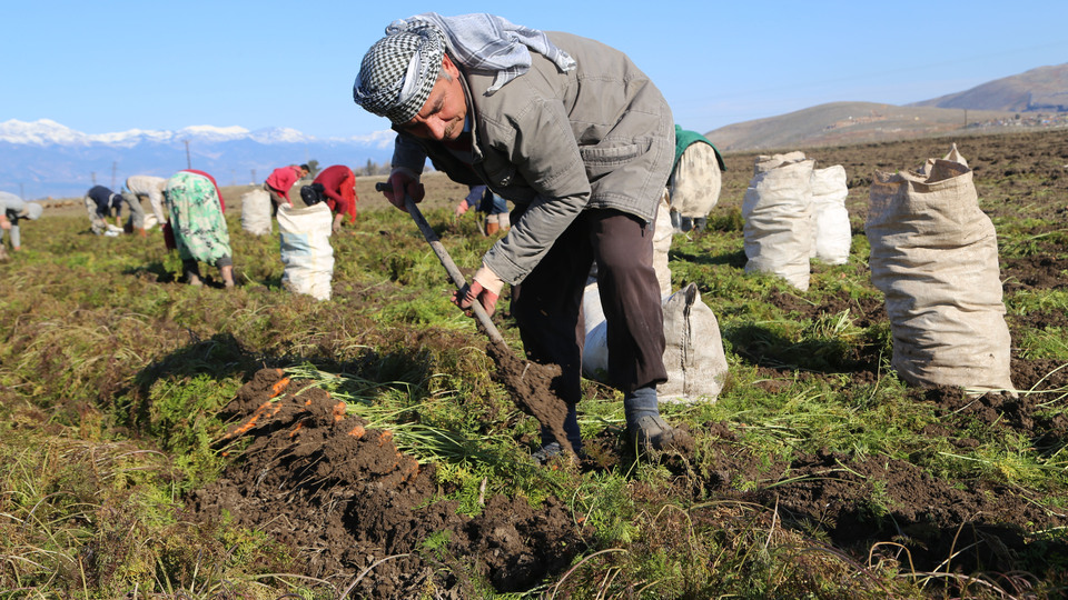 Başbakanlık mevsimlik tarım işçileri için harekete geçti