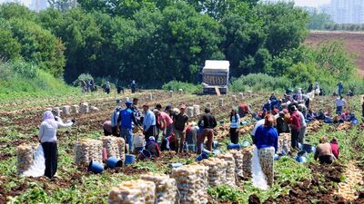 Başbakanlıktan "mevsimlik tarım işçileri" genelgesi