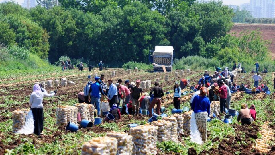 Başbakanlıktan "mevsimlik tarım işçileri" genelgesi
