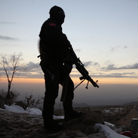 Şırnak'ta etkisiz hale getirilen terörist sayısı 29'a yükseldi
