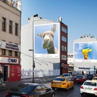 Apple'ın CEO'sundan Türkçe mesaj!