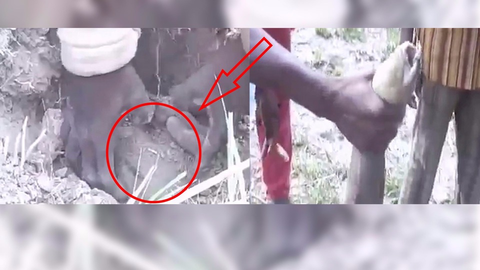 Toprağı kazıp balık avlıyorlar