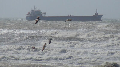 Şiddetli fırtına iki ilde can aldı