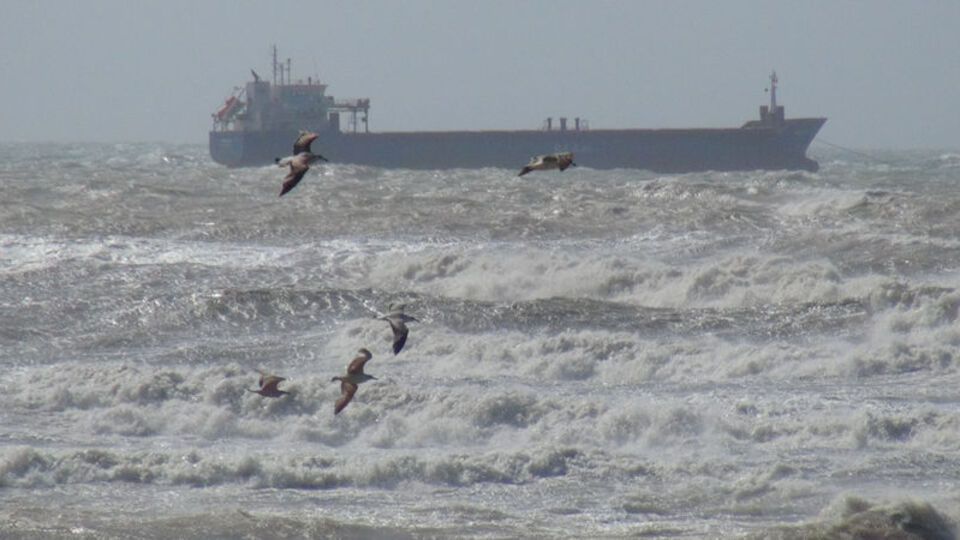 Şiddetli fırtına iki ilde can aldı