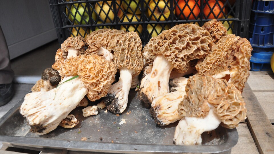 Bir tanesi tam 30 TL