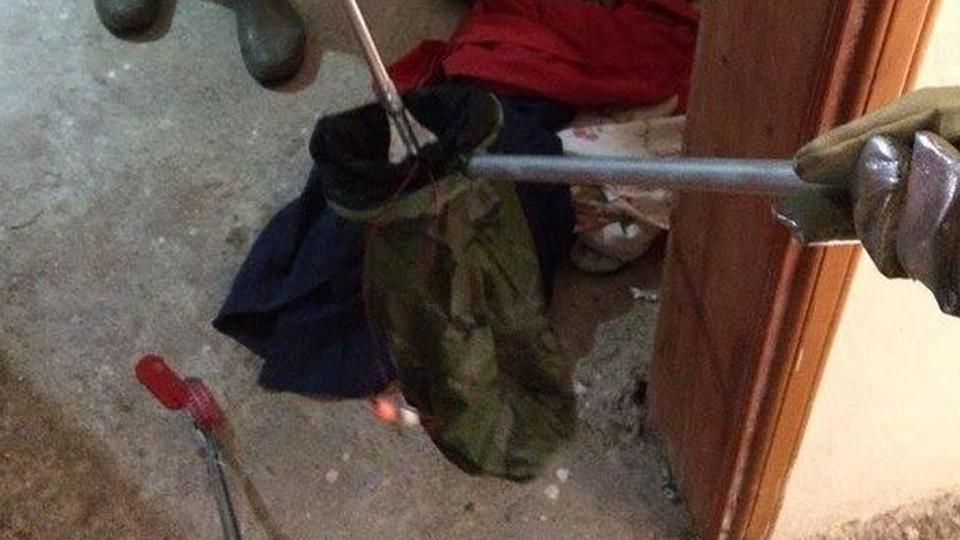 Çamaşır sepetinden öyle bir şey çıktı ki!