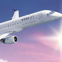 Son dakika... Tüm uçuşlarını durdurdu