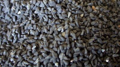 Çörek otunun faydaları!