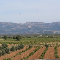Mardin'de 3 hudut karakoluna saldırı: 2 asker yaralı